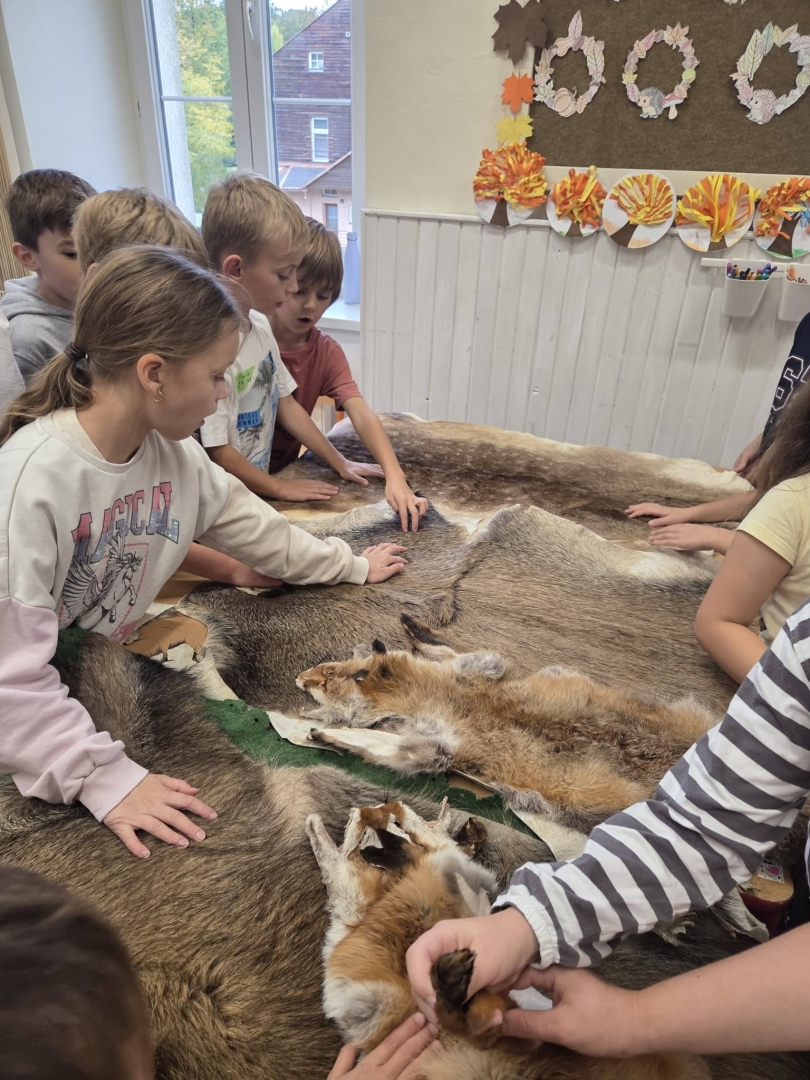Leśna pedagogika